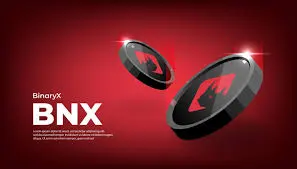 BinaryX